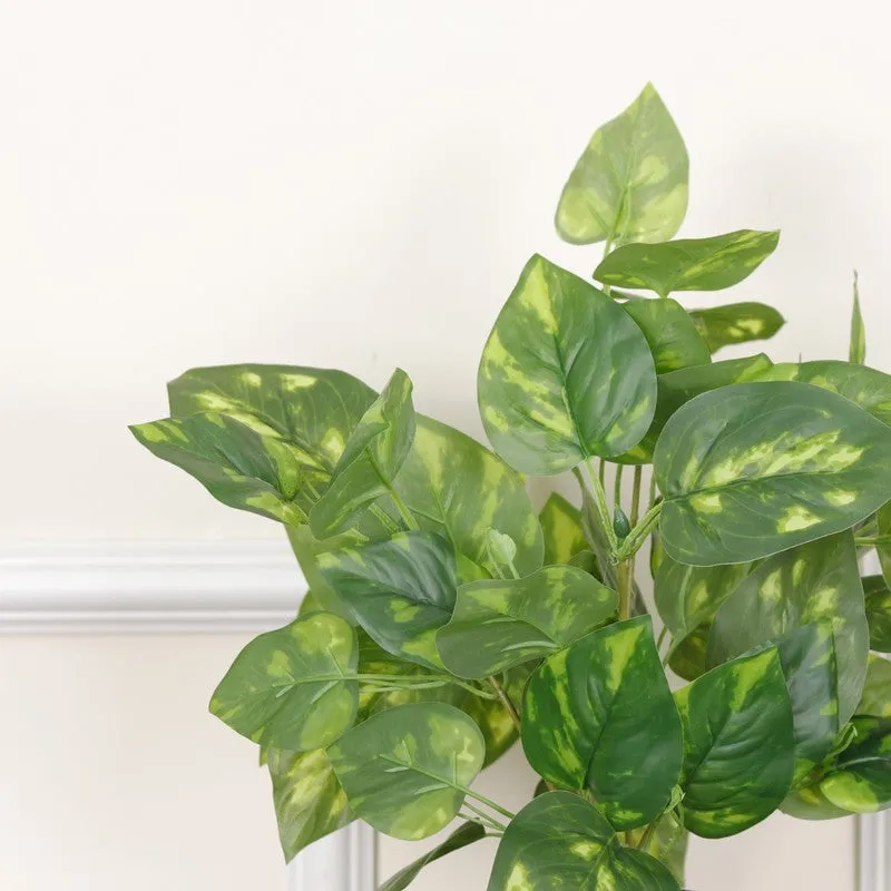 Artificial Pothos Plant With Black Fiber Pot (Green, Yellow) - 1 Feet media 6