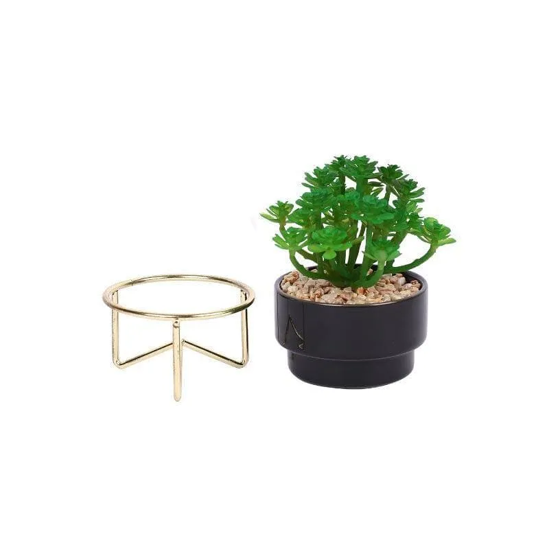 Faux Crassula In Ceramic Pot With Stand - 13.5 cms media 4