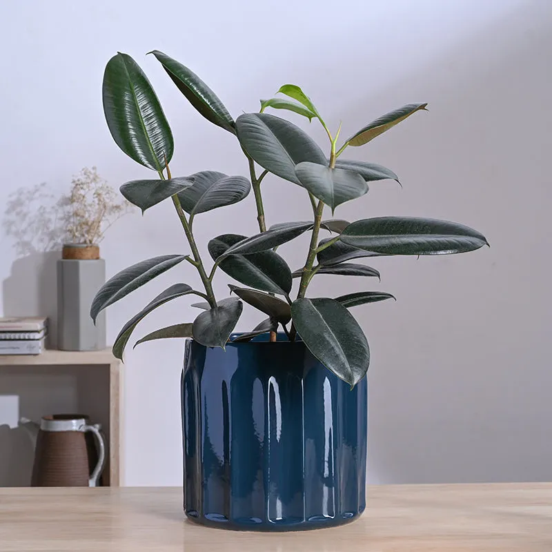 Ugaoo Straits Ceramic Planter - Blue media 2