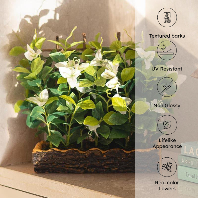 Faux Artificial Bougainvillea Bonsai in Plastic Pot (27 cms) - White media 4