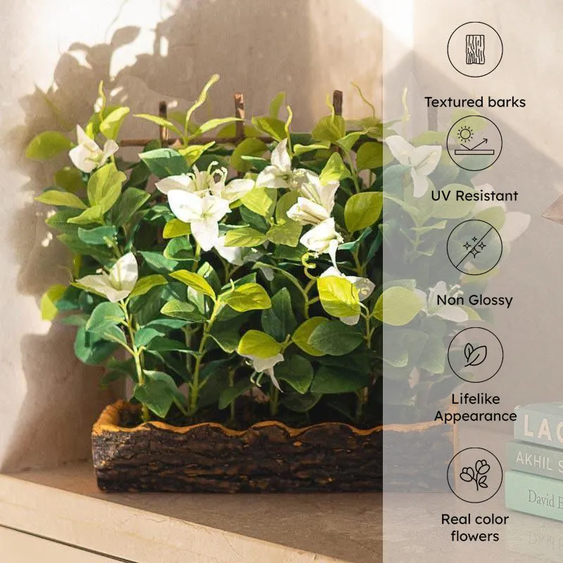 Faux Artificial Bougainvillea Bonsai in Plastic Pot (27 cms) - White media 4