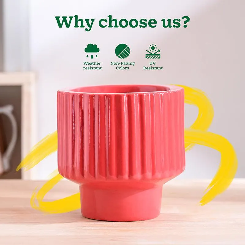 Ugaoo Classic Stria Ceramic Planter - Red media 6
