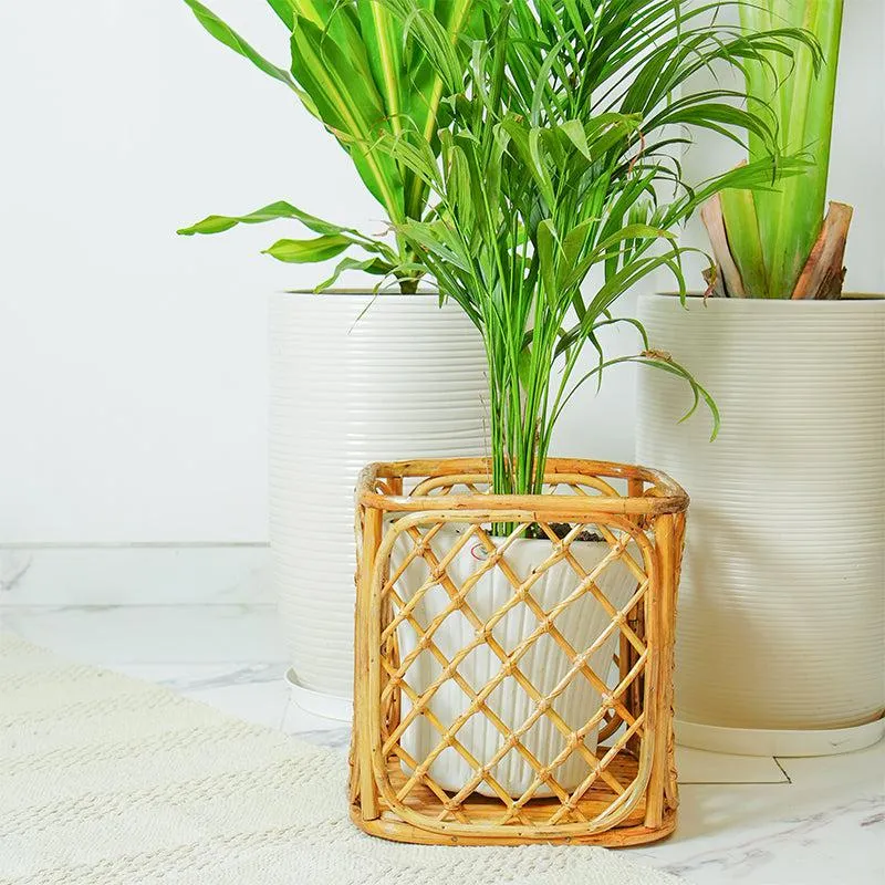 Arvo Handmade Rattan Planter media 3