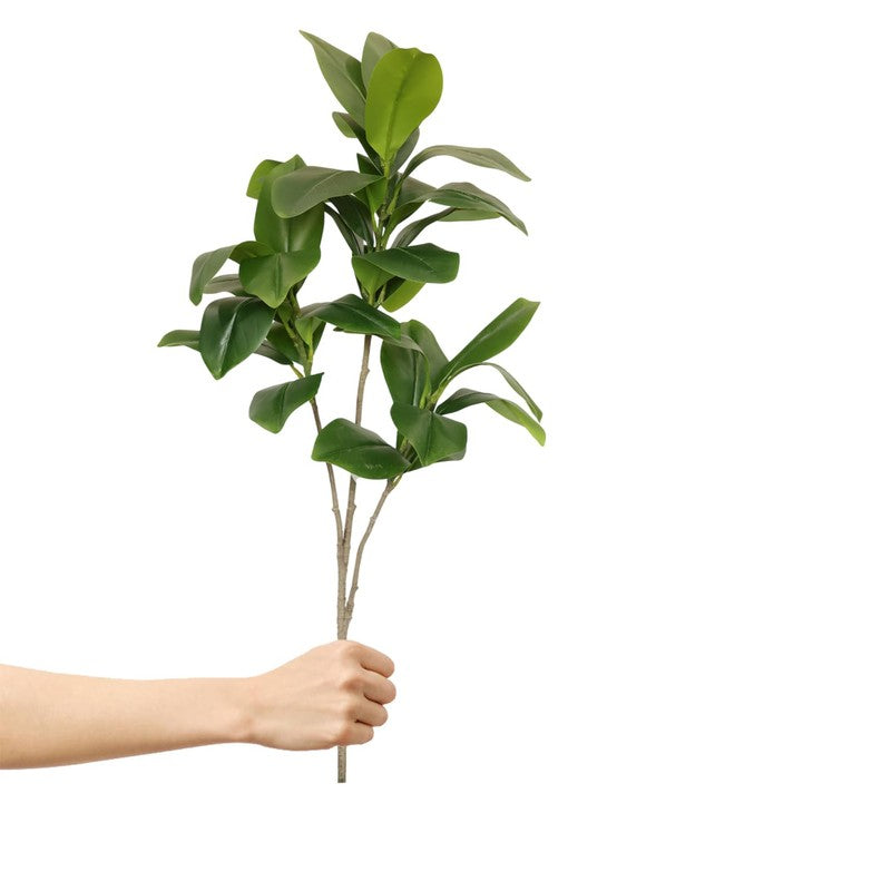 Bloomora Artificial Fiddle Fig Plant With Black Plastic Pot - 3.1 Feet media 5