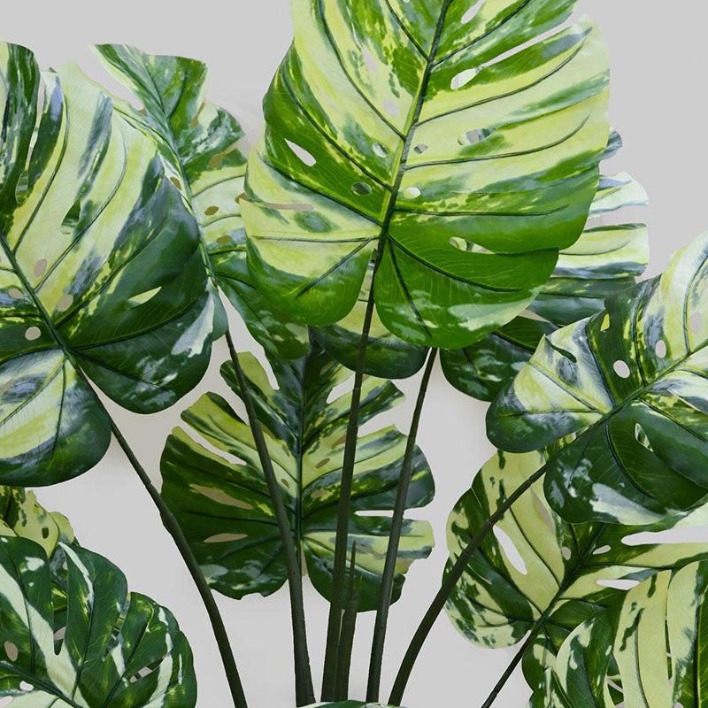 Faux  Tropical Monstera Artificial With Black Plastic Pot - 135 cm (4.4 ft) media 3