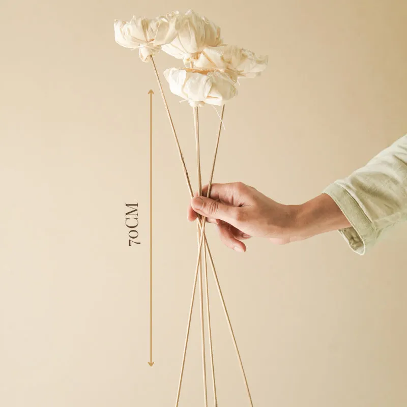 Natural Peony Handmade Dried Artificial Flower - Set Of Five media 6
