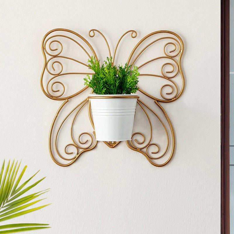 Titli Ima Wall Planter media 2