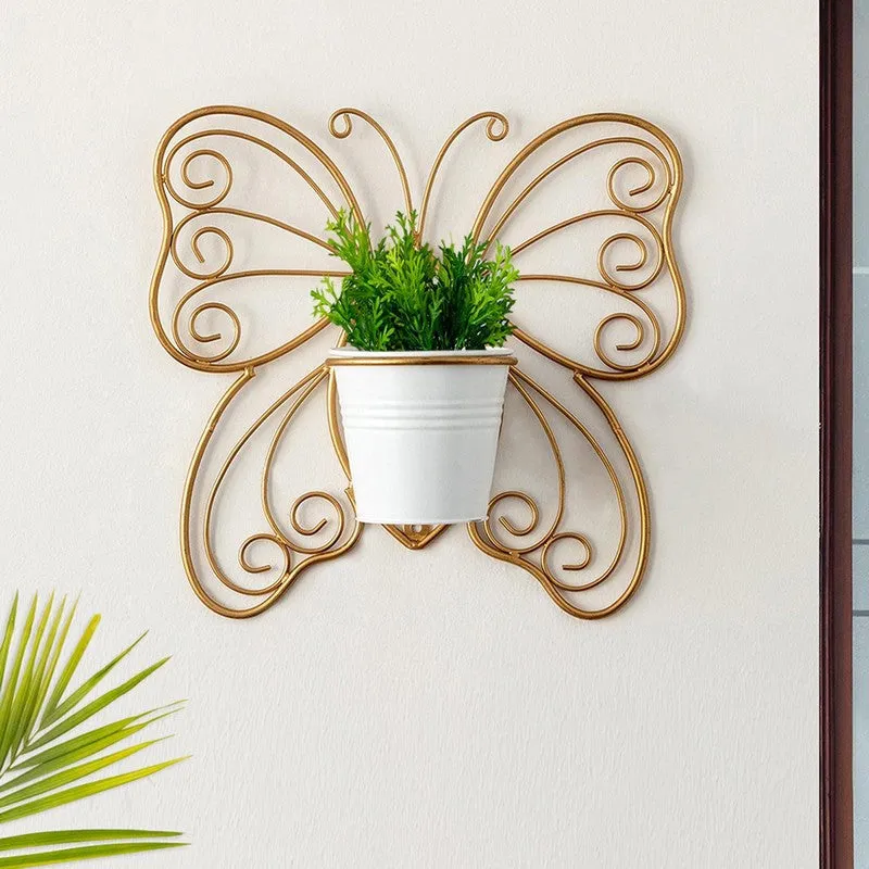 Titli Ima Wall Planter media 2