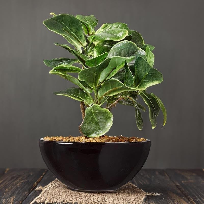 Faux Fiddle Bonsai In Bowl Pot - 29 cms