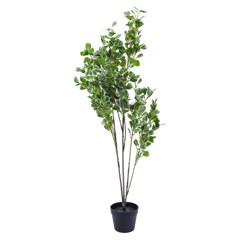Artificial Realistic Schefflera Plant With Black Plastic Pot - 3.9 Feet media 6