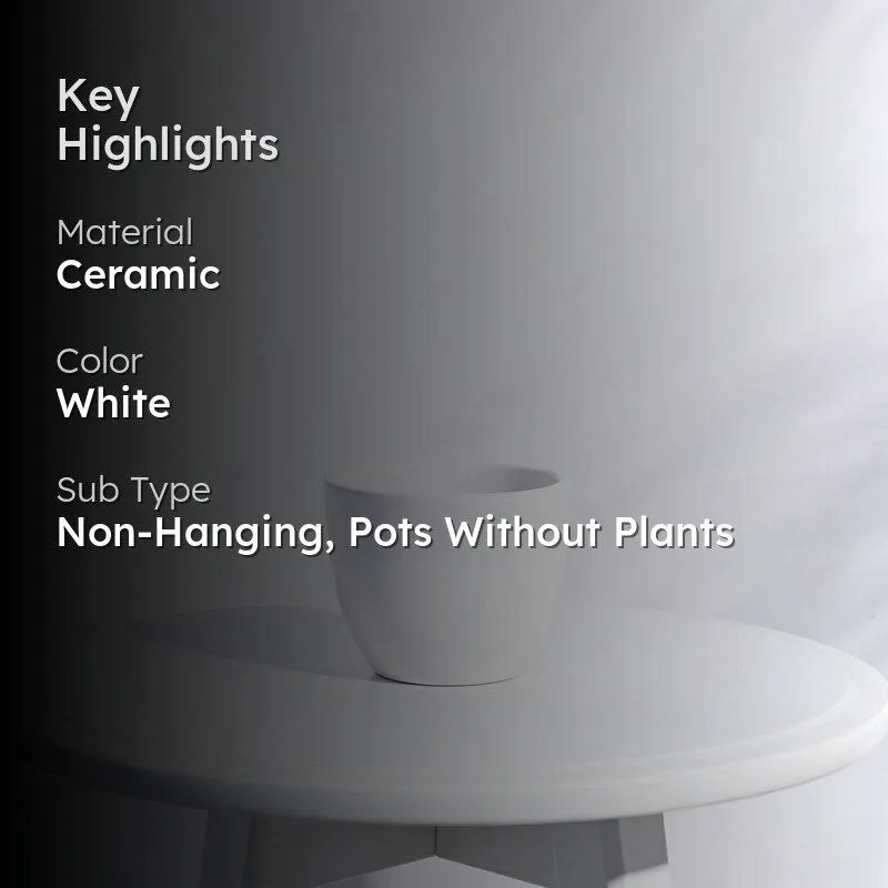 Ugaoo Apple White Ceramic Pot- Small media 2