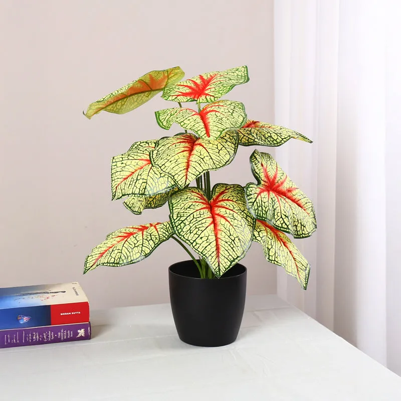 Calena Artificial Caladium With Black Plastic Pot - Yellow & Red media 2