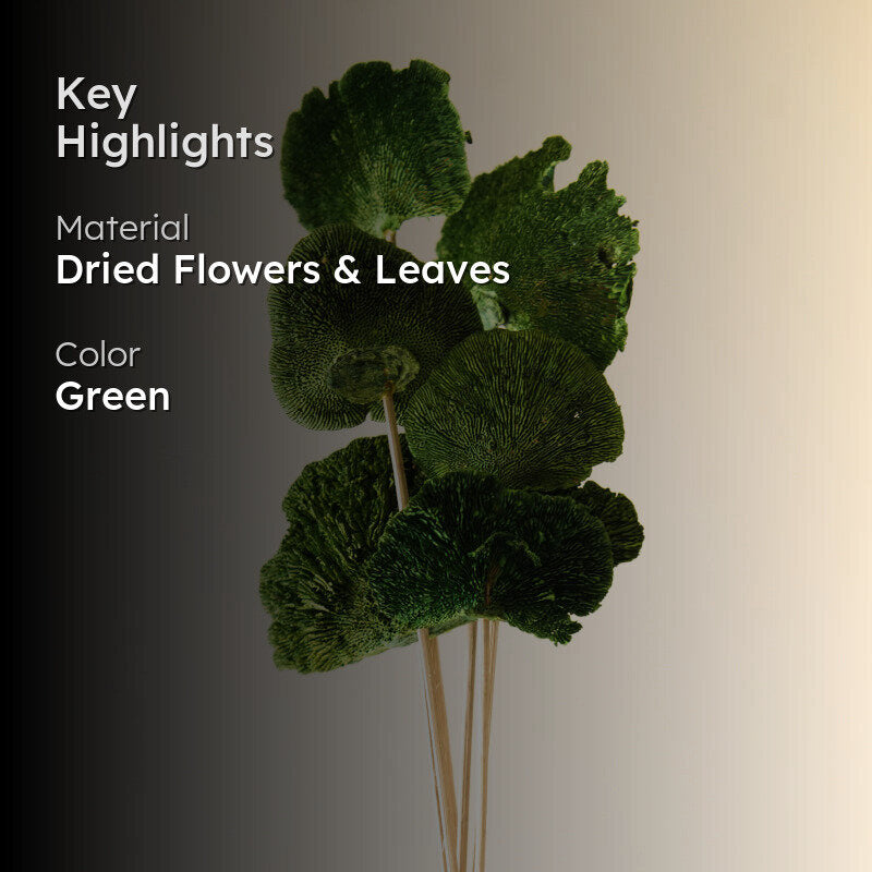 Sponge Mushroom Bunch (Green)  - Set Of Five media 2
