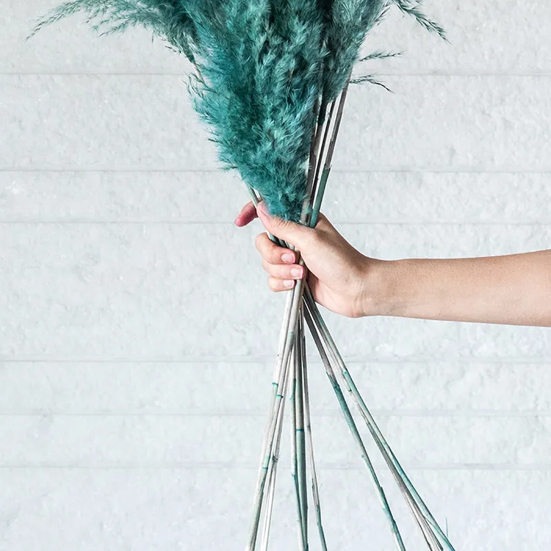 Sittora Pampas Stick (Ocean Blue) - Set Of Ten media 5
