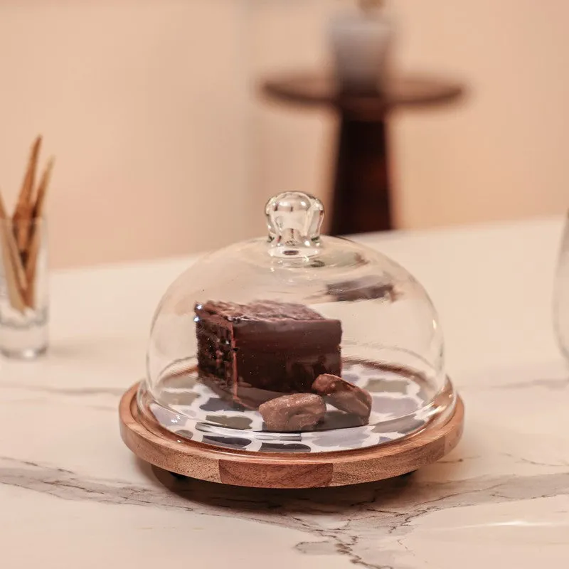 Opal Cake Stand With Dome media 3