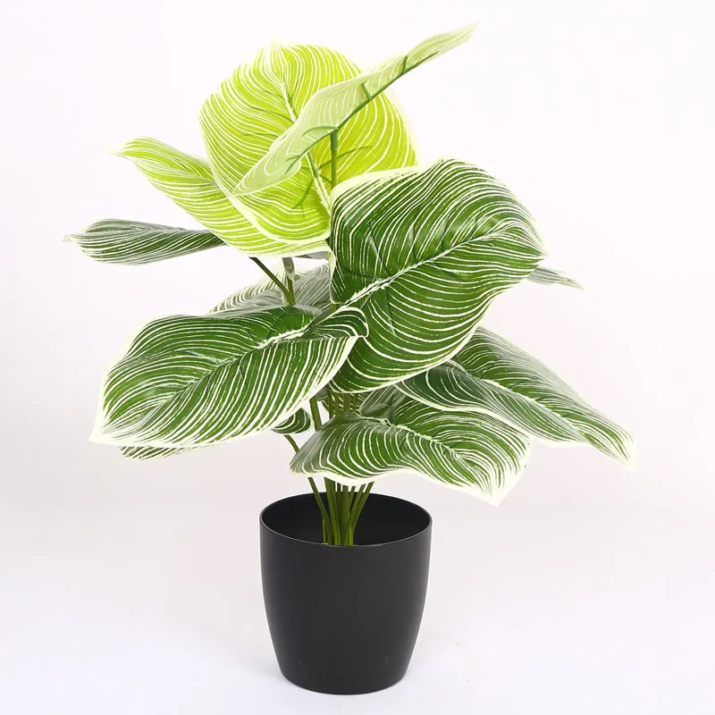 Verdiva II Artificial Plant With Black Plastic Pot - 1.8 Feet media 5
