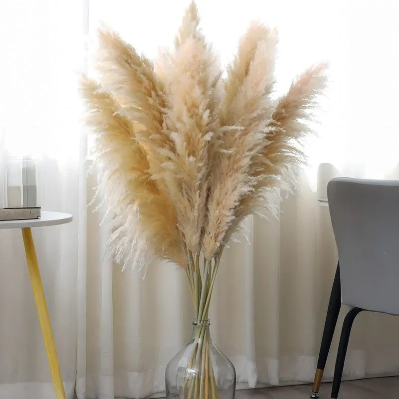 Artificial Rustic Pampas Grass - Set Of Five media 1