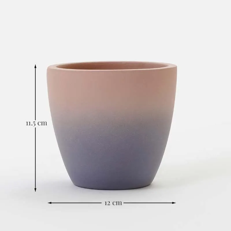 Ombre Planter media 7