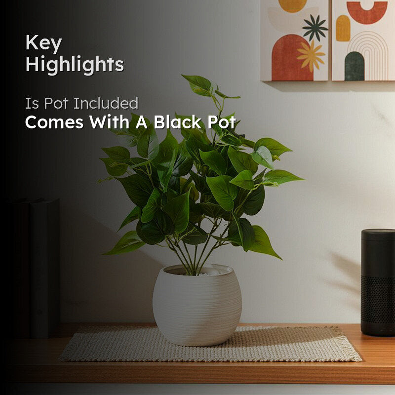 Faux Everlasting Jade Pothos Plant With Black Plastic Pot - 48 cm media 2