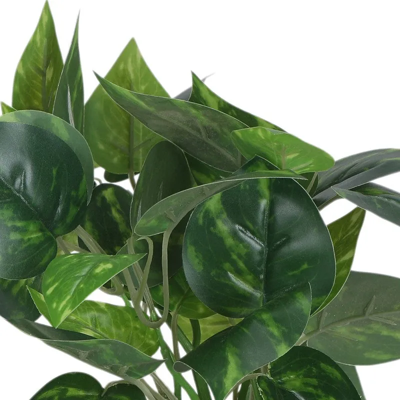 Artificial Money Plant With Black Plastic Pot - Set Of Two media 2