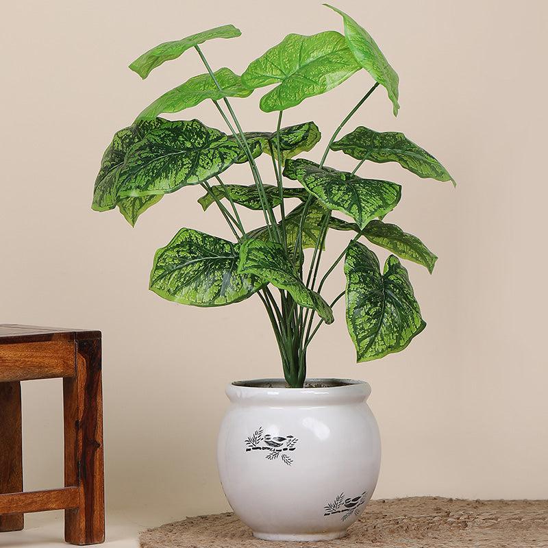 Faux Botanic Dark Green Alocasia Plant - 2 Feet