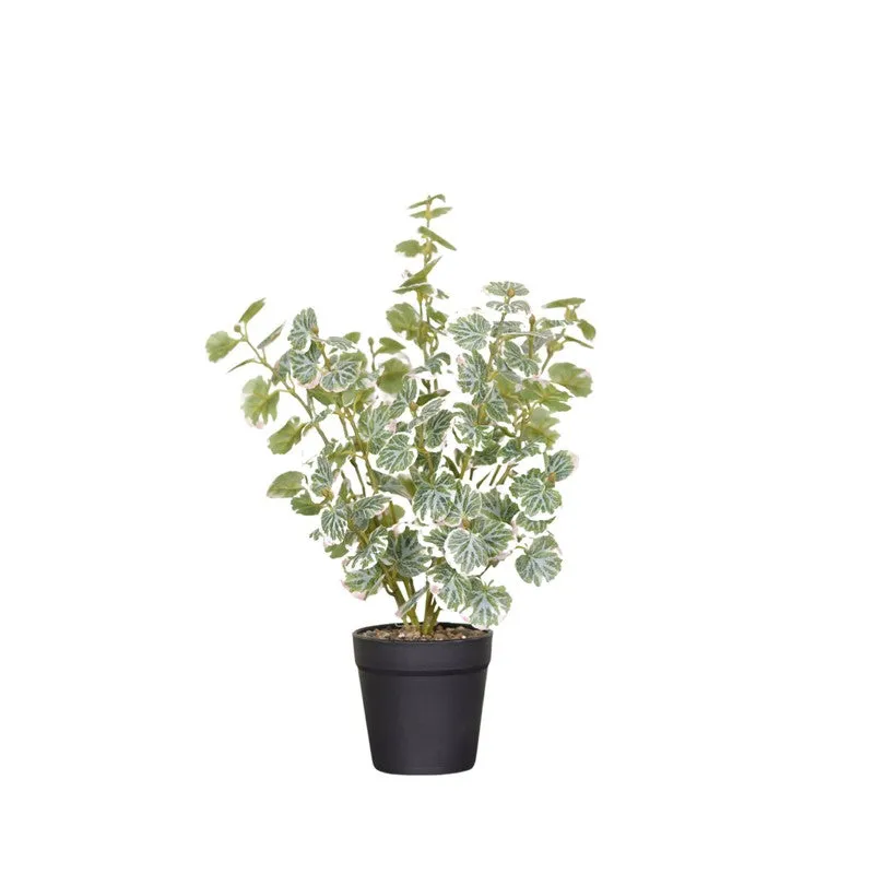 Artificial Geranium Ii Plant With Black Fiber Pot - 1 Feet media 4