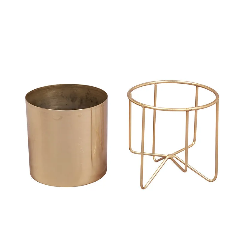 Metal Root Iron Planter media 5