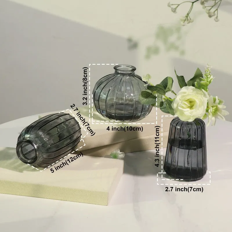 Petal Hue Home Glass Vase (Grey) - Set Of Three media 7