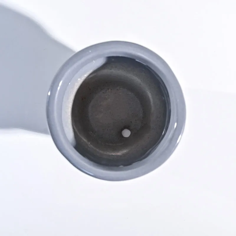 Ugaoo The Dream Gray Small Ceramic Pot media 5