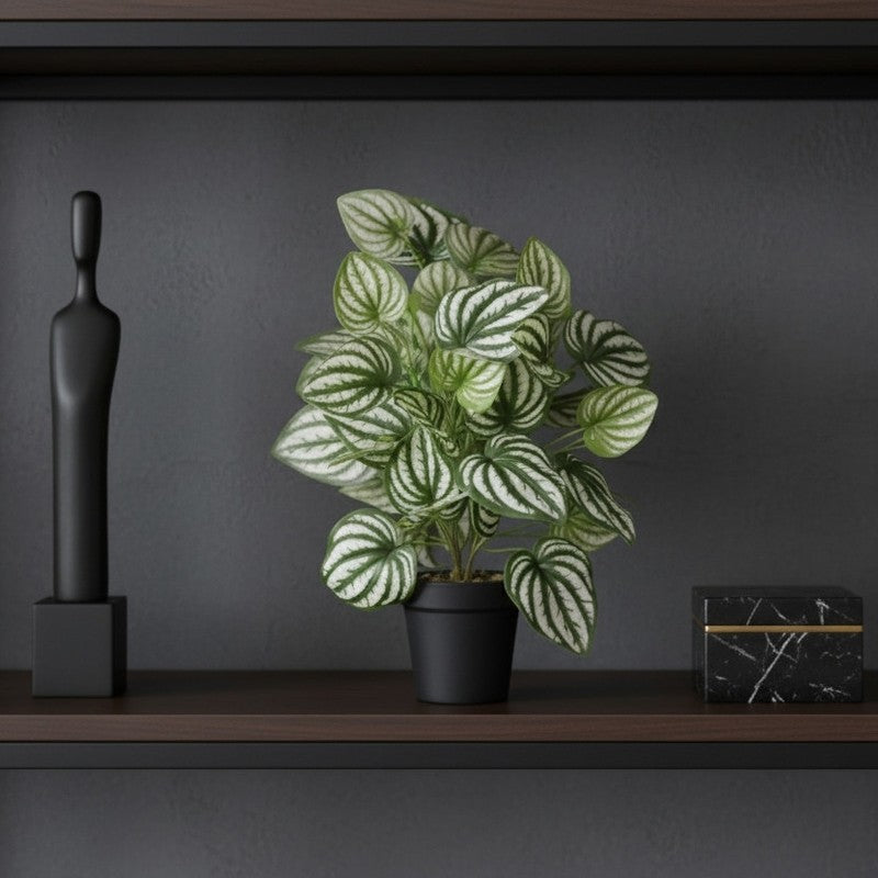 Artificial Watermelon Peperomia Plant With Black Fiber Pot - 1 Feet media 5