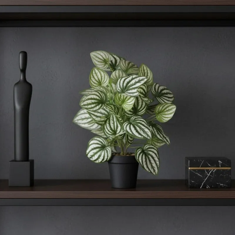 Artificial Watermelon Peperomia Plant With Black Fiber Pot - 1 Feet media 5