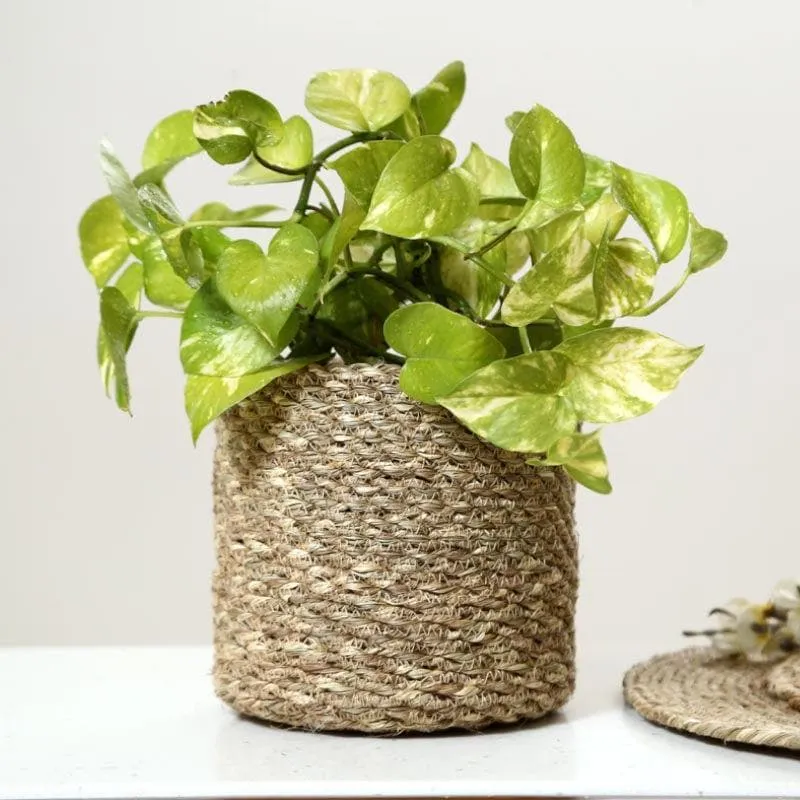 Enchanted Garden Jute Planter media 5
