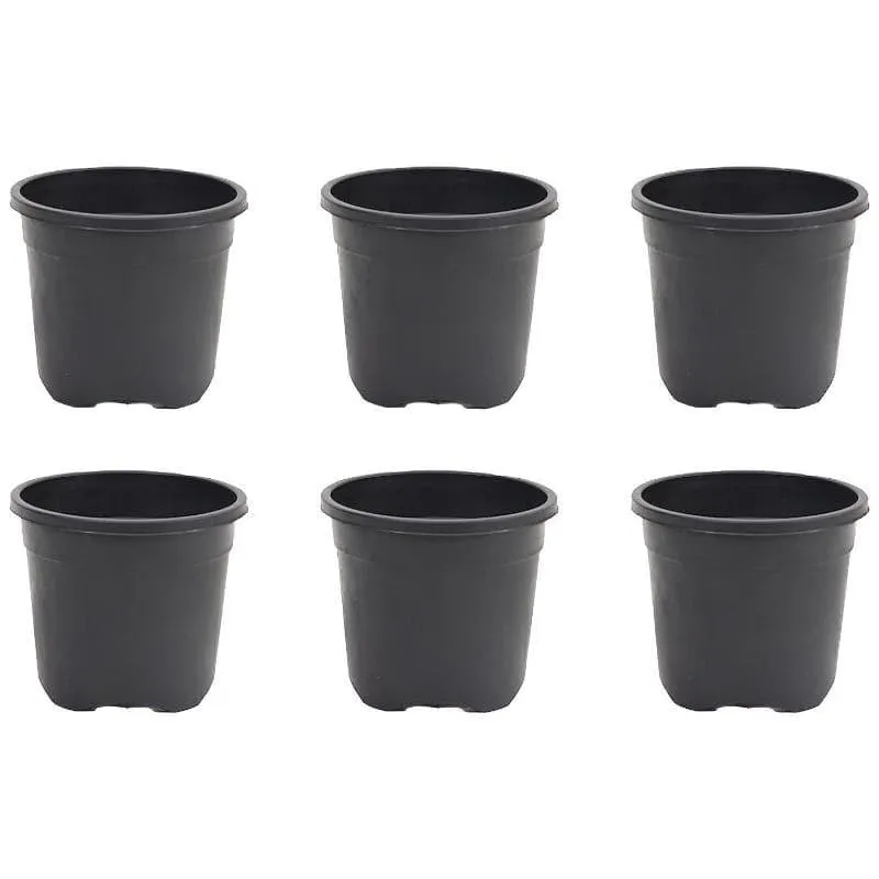 Ugaoo Garden Black Plastic Pot (9.9 CM) - Set Of Twelve media 4