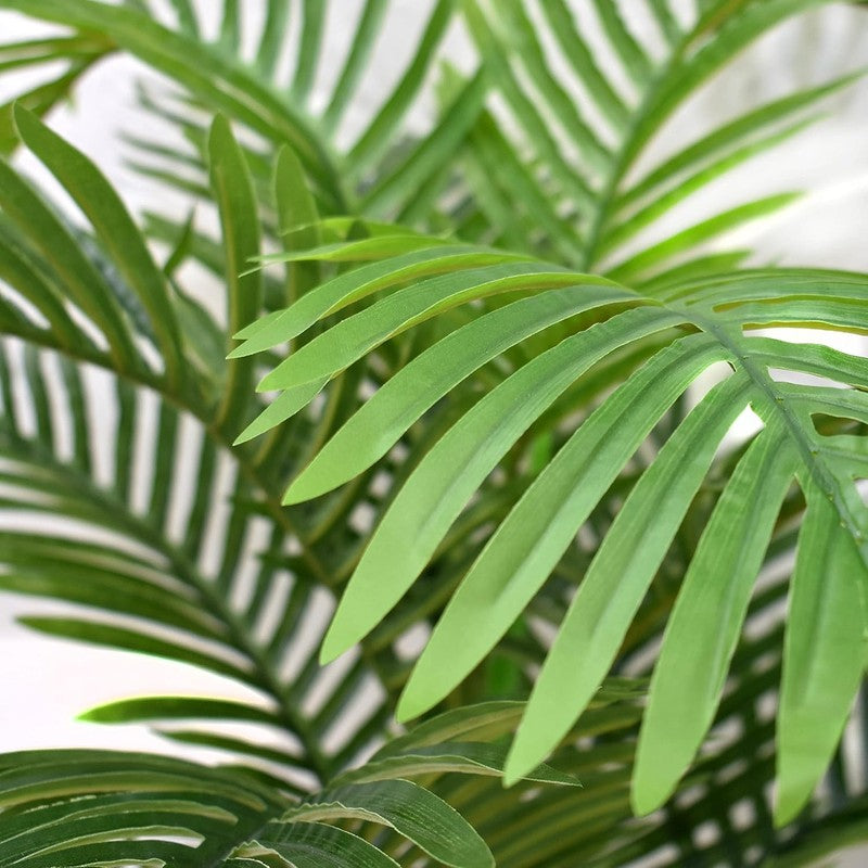 AuraLeaf Artificial Areca Plant With Black Plastic Pot - 3 Feet media 7