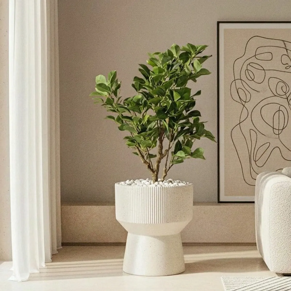 Off-white ribbed floor planter holding a leafy plant beside framed wall art.