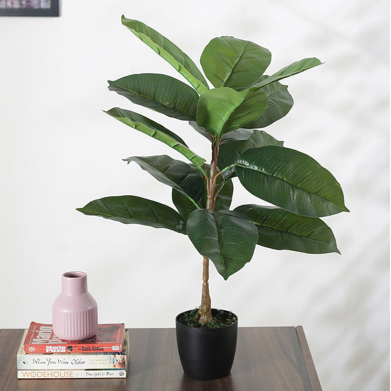 Faux Green Rubber Plant With Black Plastic Pot - 2.46 ft media 3
