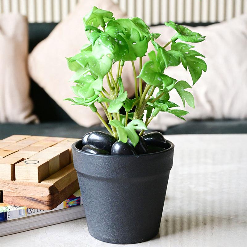 Minstera Artificial Mini Monstera Plant With Black Plastic Pot (Light Green) - 16 cm media 3