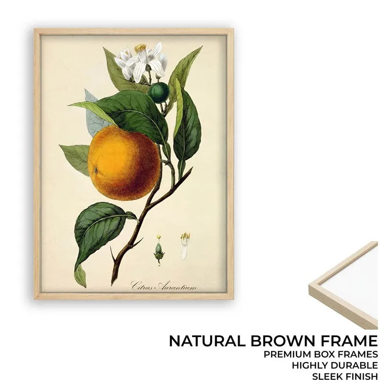 Tropical Zest Archival Canvas Wall Art - Brown media 10