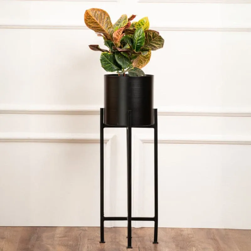 Cyra Black Metal Planters - Set Of Three media 3