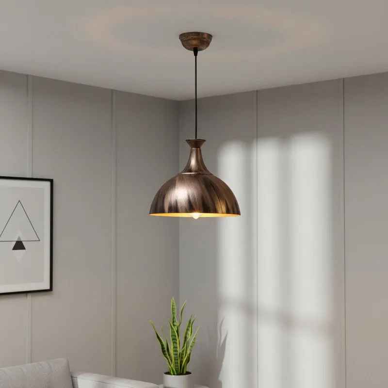 Dome Antique Iron Ceiling Lamp media 1