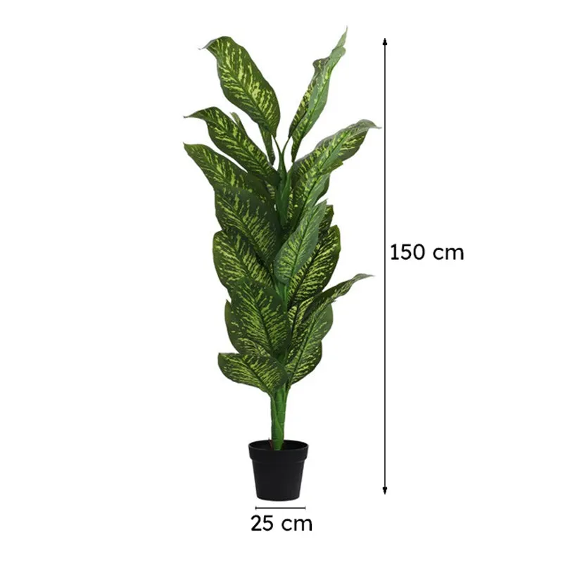 Artificial Dieffenbachia Plant With Black Plastic Pot 5.5 ft media 9