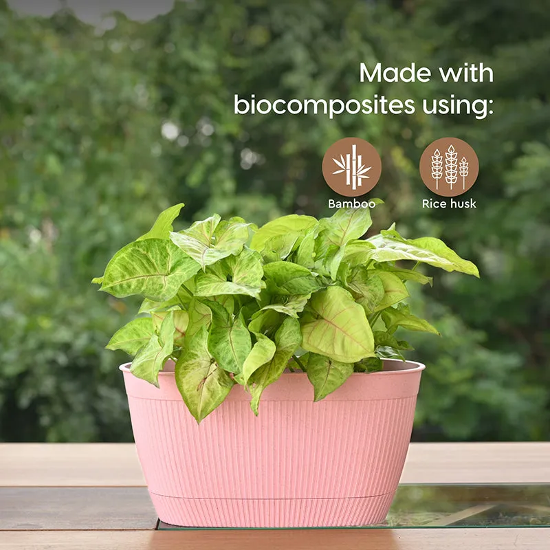 Gather Grove Self-Watering Planter - Set Of Four media 3