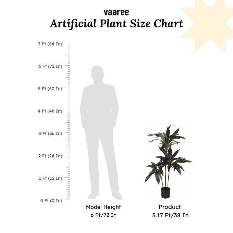Faux Lush Dracaena Reflexa Plant With Black Plastic Pot - 3.1 Feet media 6