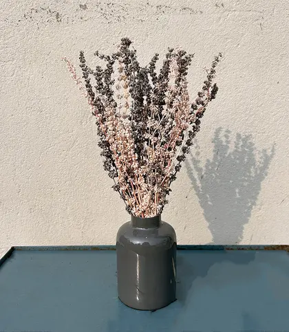 Dried Flowers & Leaves