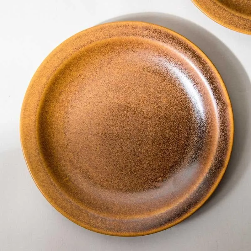 Terra Tones Dinner Plates - Set Of Two media 4