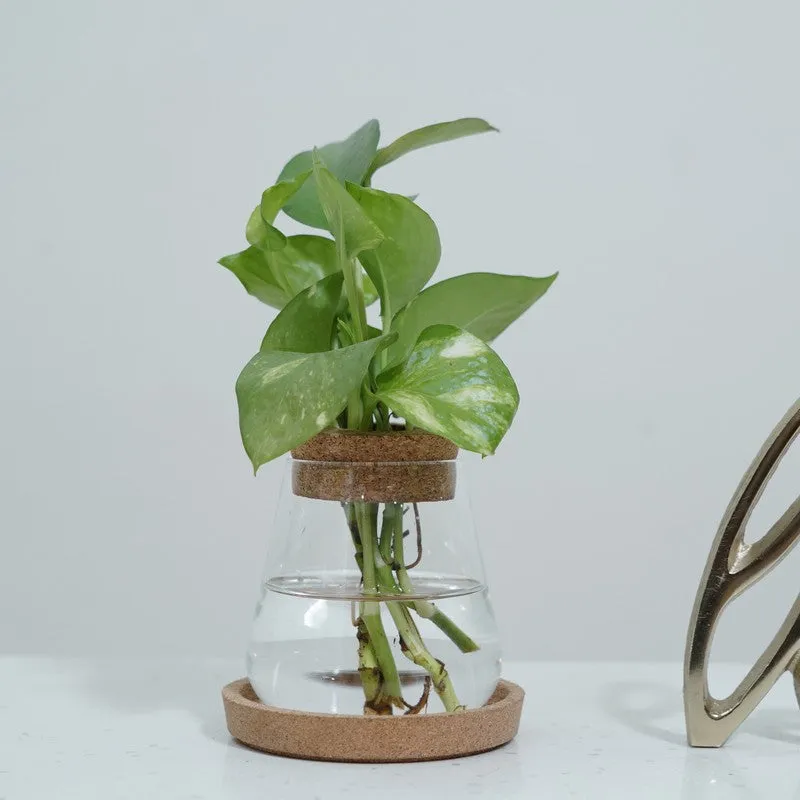 DewNest Home Planter - Two Piece Set media 3