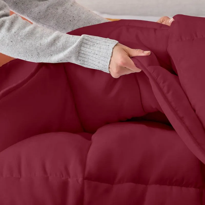 Aubriel Solid Comforter (Maroon) 300 GSM media 4