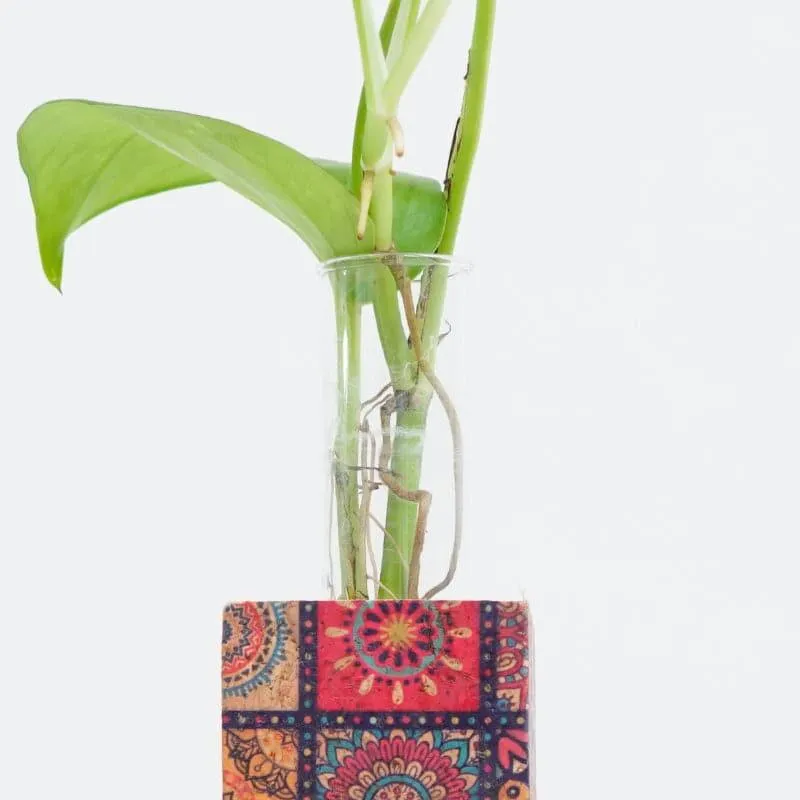 Vira Cork Testube Planter media 4