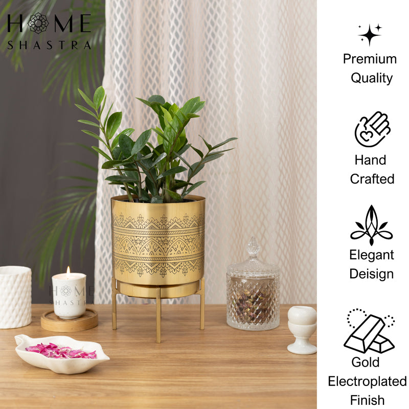 Vinyas Raaga Golden Planter with Stand media 6