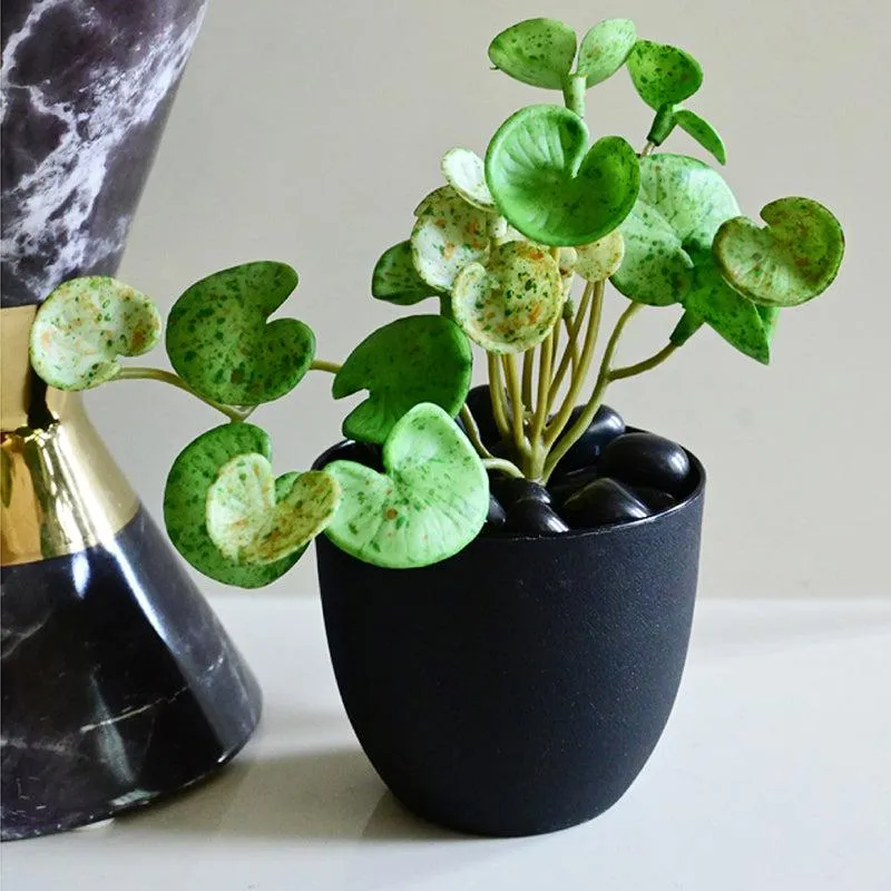 Pennelle Artificial Leaf Pennywort With Black Plastic Pot (Spotted Green) - 13 cm media 4